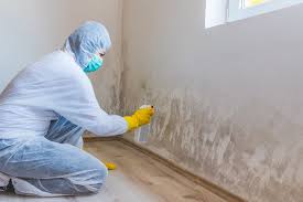 Best Mold Odor Removal Services  in Agency Village, SD